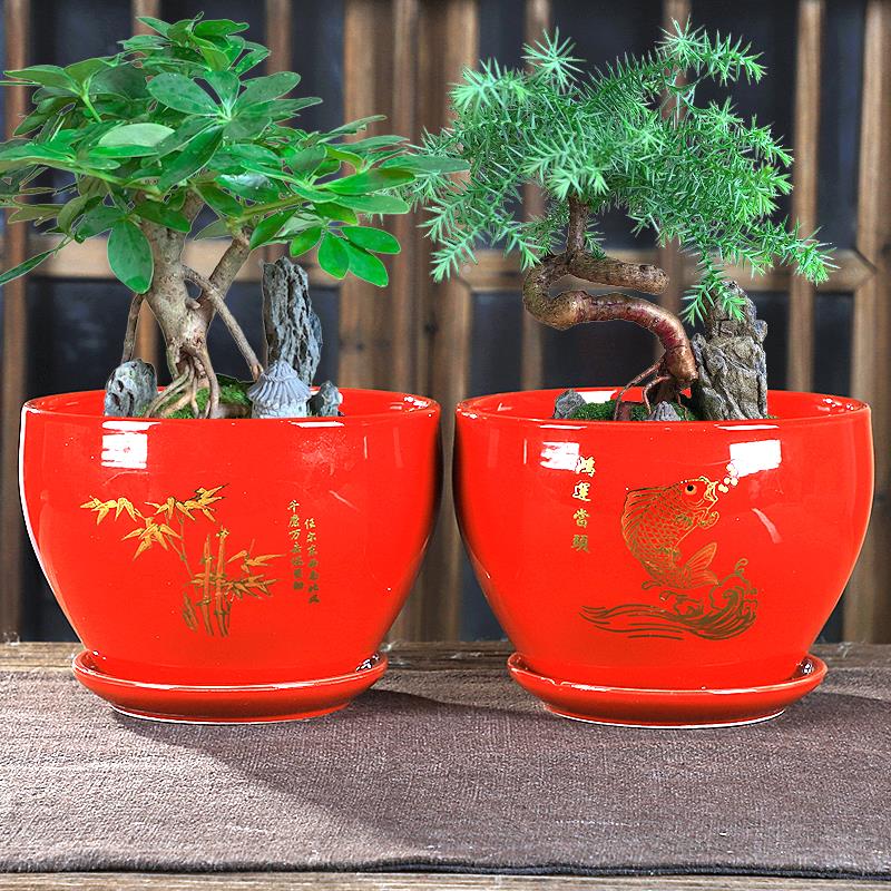 创意中国红花盆陶瓷带托盘绿植黄金葛兰花喜庆花器盆栽结婚花盆特