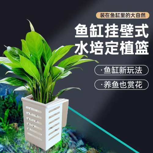 鱼缸定植篮挂篮方形水草定植盒水草支架鱼缸造景装饰挂件