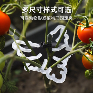 水栽水培龟背竹支撑杆枝干收拢架植物防倒伏支架绿植固定器花架