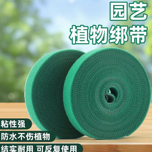 植物绑带绿植龟背竹爬藤固定器