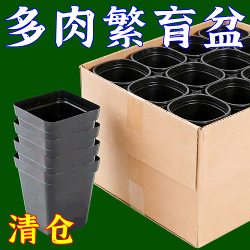 简约实用5厘米小黑方塑料花盆育苗扦插多肉花盆方形盆营养钵