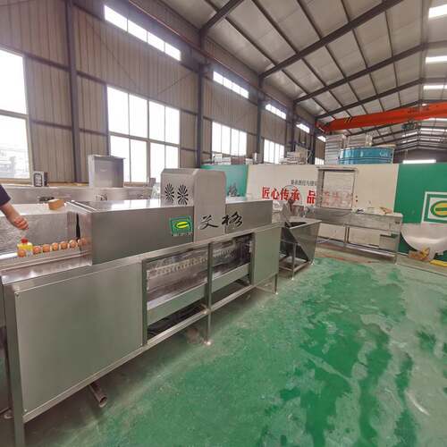 鸡蛋清洗机 鸡蛋清洗机厂家 蛋品清洗设备规格齐全型号可选