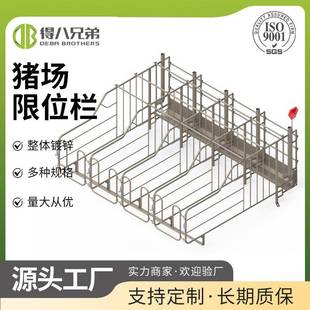 源头直供猪场单体栏限位栏坚固耐用高效管理每头猪高效养殖猪舍