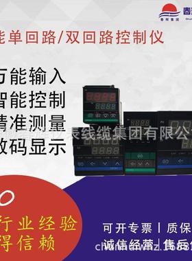 SLRB1299122PAH智能数显控制仪