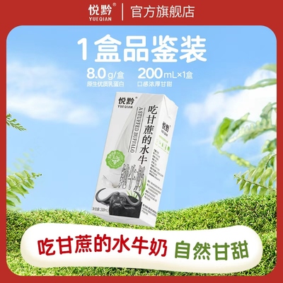 悦黔水牛纯牛奶水牛牛奶营养早餐