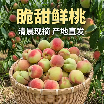 【脆甜】青皮脆蜜桃脆甜清香桃子新鲜脆桃香甜多汁当季非蜜桃油桃