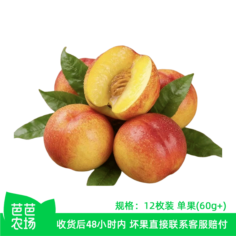 【芭芭农场】油桃12枚60g+ 多仓发货 5Y-1