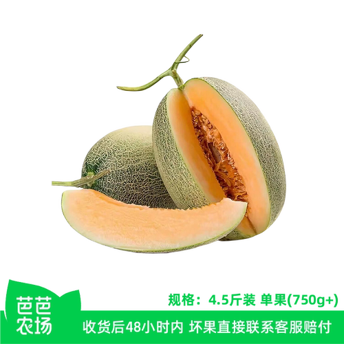 脆甜多汁 产地直发