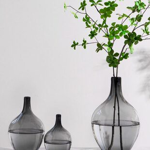 客厅落地花瓶醉插花玻璃摆件肚水培口大木钟水养马径小吊圆透明肚