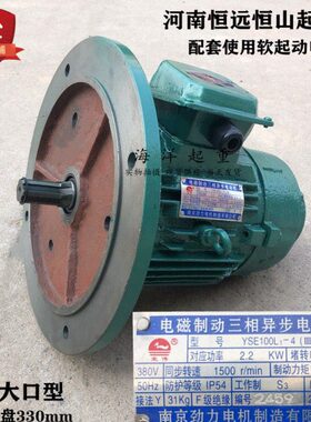 电-02.102K南京（ 制 YL4SEWII1） D电机磁劲力动I三相异步电动机