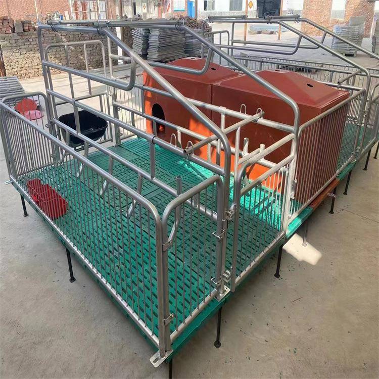 2023新款母猪产床猪产床保育两用一体床复合板限位栏兽用