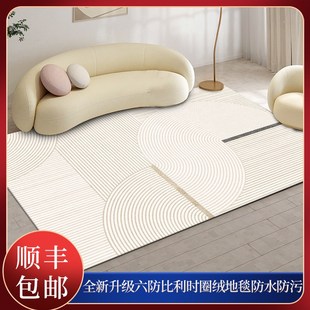 A夏季 比利时圈绒地毯客厅2024新款 沙发茶几地垫防水防污卧室床边