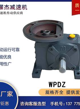 需定制WPDZ/WPDA/WPDS/WPDO/WPDX涡轮蜗轮蜗杆减速机立式齿轮减速
