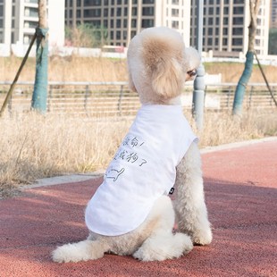 薄款 搞笑宠物大型犬衣服夏季 w防掉毛巨贵金毛边牧拉布拉多大狗背