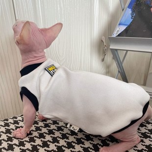 罗纹背心衣服 奶油是只无毛猫斯芬克斯德文宠物猫咪M通用款