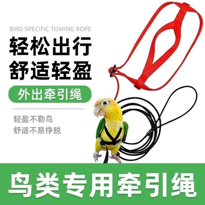鹦鹉放飞绳不伤脚超轻训练绳虎皮玄凤八哥脚环脚链脖套遛鸟飞行绳