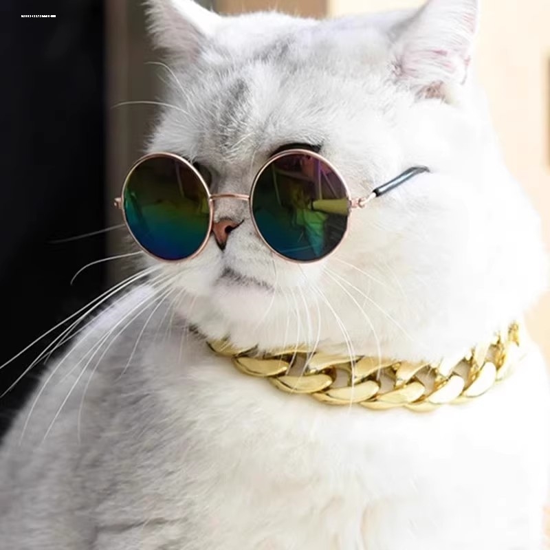 猫咪薄款眼镜拍照可爱帅气猫咪红狗狗个性网红猫咪