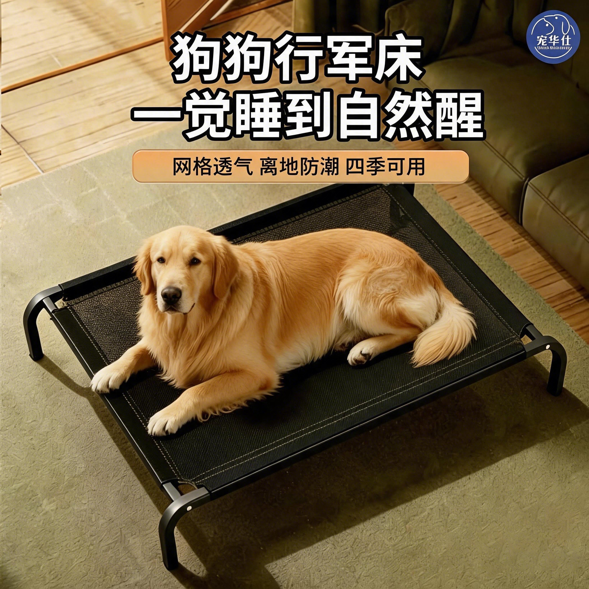 狗狗行军床狗窝四季通用可拆洗离地防潮夏季狗床中小型犬垫子睡床