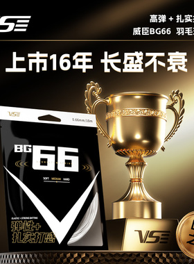 VS威臣麒麟bg66羽毛球线高弹性耐打拉线控球进攻专业羽线官方正品