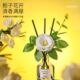 莫里青叶茉莉浆果玫瑰无火香薰摆件卫生间除臭香氛卧室房间