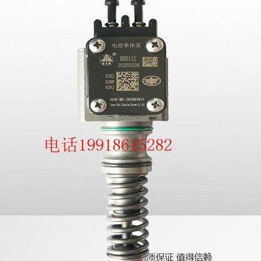 南岳电控衡阳国三国四玉柴全柴维柴电控单体泵柱塞EUP100T喷油泵