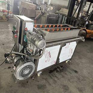 自动翻筐式气泡洗菜机净菜加工商用多功能清洗机牛羊猪肉小型清洗