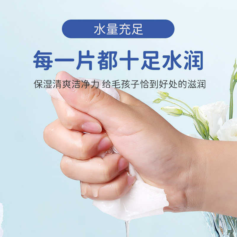 宠物湿巾猫咪狗狗专用清洁去泪痕除臭擦脚免洗清洁用品湿纸巾皮肤,洗护清洁剂/卫生巾/纸/香薰,皮肤护理湿巾/湿敷纸巾,淘宝优惠券,粉丝福利购,淘宝优惠卷