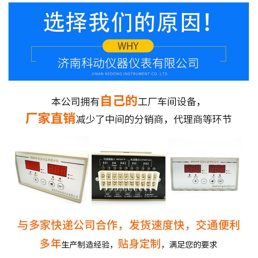 ZH2012可编程振动监视仪