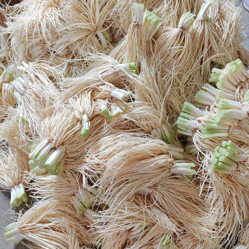 云南德宏新鲜撇菜根500克腌拌