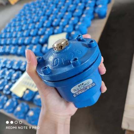 QB1铸铁丝接排气阀快速自动进排气阀DN20-DN50清水采暖P11X