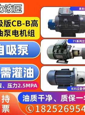 齿轮泵CB-B6/B10/B4/B2.5液压油泵电机组370W/550W/750w润滑油泵