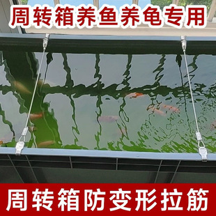 周转箱拉筋塑料养殖箱养鱼定位钢丝条鱼缸乌龟箱专用防变形拉力绳