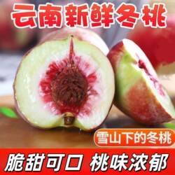 正宗大理冬桃云南丽江脆甜桃鲜果寿桃冬雪桃现发孕妇桃子新鲜水果