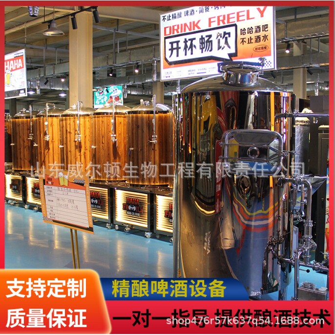 哈哈家族-精酿啤酒设备100L发酵罐酿酒设备全套精酿设备厂家直销