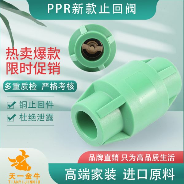 天一 金牛202532PPR止回阀单向阀逆止阀4分1寸PPR水管管件配件