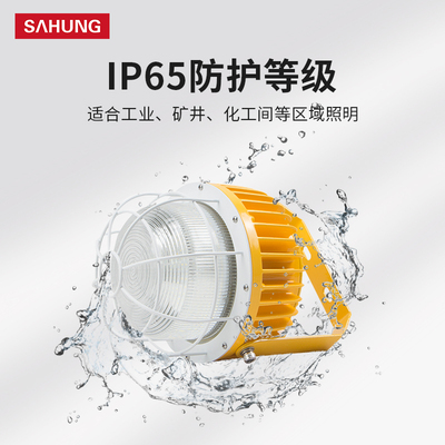 上鸿led防爆灯40W60W80W120W化工厂照明灯煤矿油漆房加油气站灯具