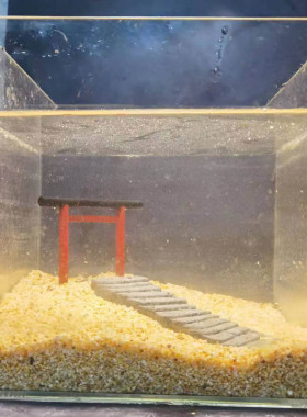 冬官手作 鱼缸造景摆件苔藓花盆小房子牌坊神明鸟居明神鸟居