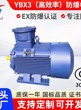 YBX3-355M2-10/160W隔爆三相异步电机YB2YB3660V1140V防爆电机