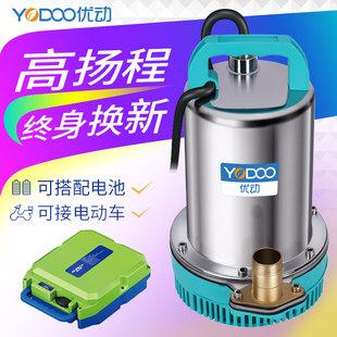 直流潜水泵12V24v48V60V72伏家用I电瓶电动车抽水泵小型农用抽水