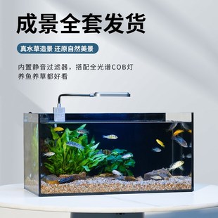 鱼缸生态桌面造景家用金晶超白玻璃中小M型客厅鱼缸生态水景缸