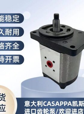 //.719.P.3/4/10695/M20CAS14/.A/马达2/16APP8齿轮泵/11L/.2齿轮