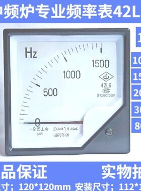 42/0频率表0040V0 30 6Z010赫兹0 频炉专用中 L0-H20000表08150