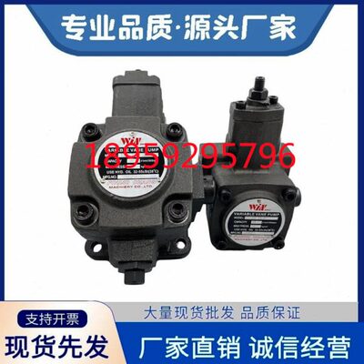 EA-C/VPBT峰昌 F-S叶片泵-VVPMOS30-油泵-PD-4030S-F-F-SINW/台湾