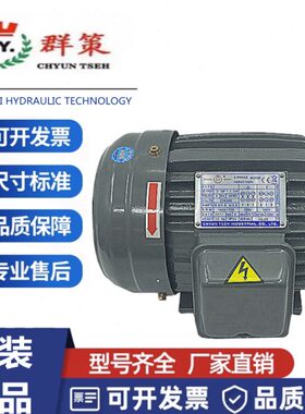 台湾SY群策油泵内轴电机马达1HP2HP 3HP 5HP C01-43B0C03-43B0 C0