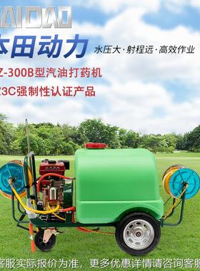 0W0Z-WZ-00B0B打药G机P160动力0升汽油打药机