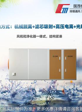 HOX新地标用城市使餐饮油烟化一体净机组电机械静光解复合除烟除