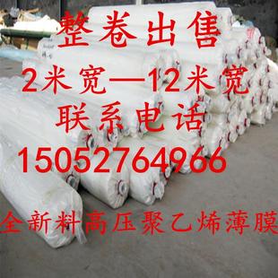 加厚大棚膜防尘保温农用薄膜整卷出售 2米3米4米5米宽塑料薄膜包装
