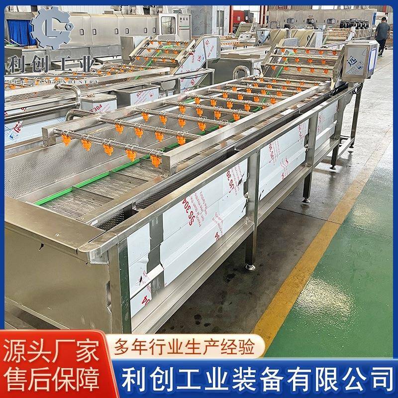 全自动小龙虾清洗机花生大豆气泡清洗机全自动喷淋式清洗机