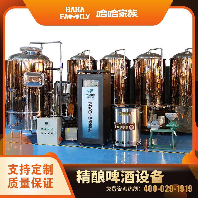 精酿啤酒酿造设备精酿啤酒加工设备酿制啤酒机械送配方技术