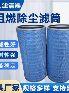 除尘器用纳米阻燃除尘滤筒P190818除尘滤芯325*215*660尺寸可定